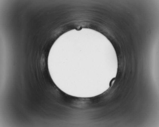 X0000083600128200703091749