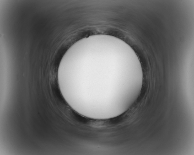 X0000083600129200703091749