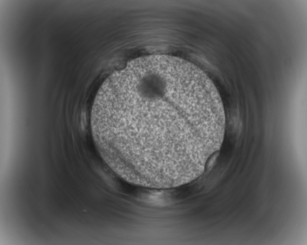 X0000083600130200703091749