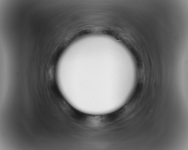 X0000083600131200703091749