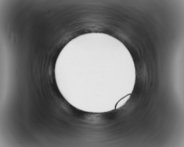 X0000083600132200703091749