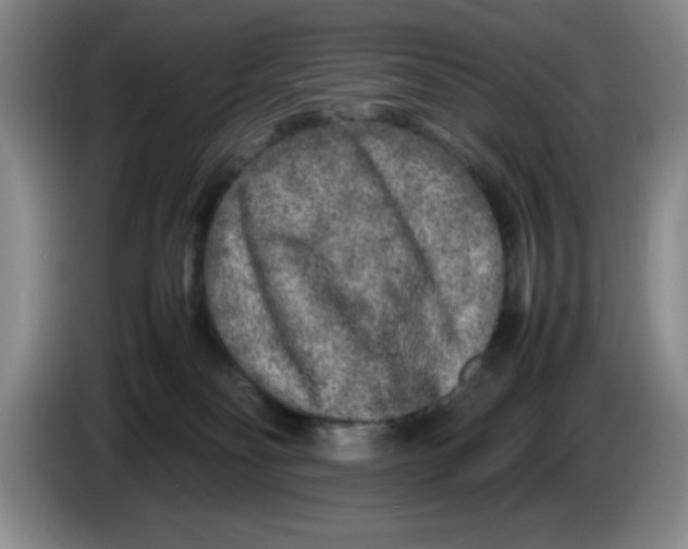 X0000083600134200703091749