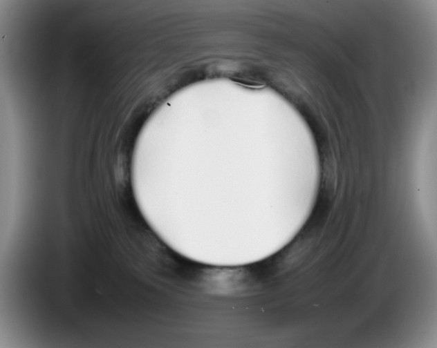 X0000083600135200703091749