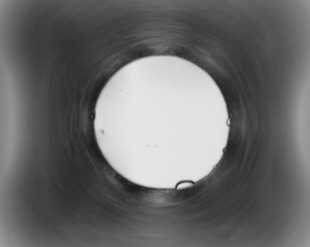 X0000083600136200703091749