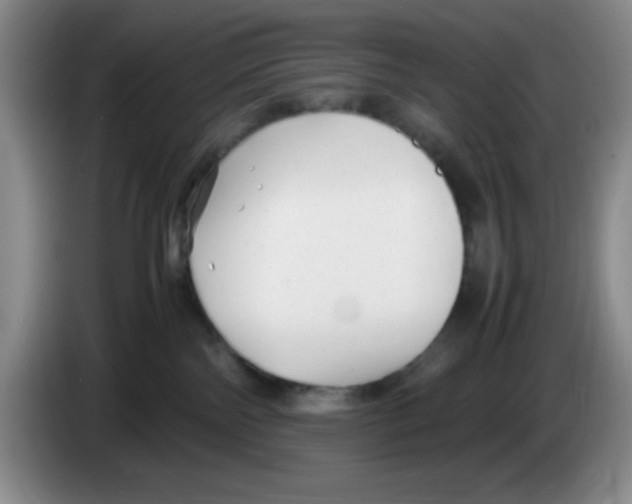 X0000083600138200703091749