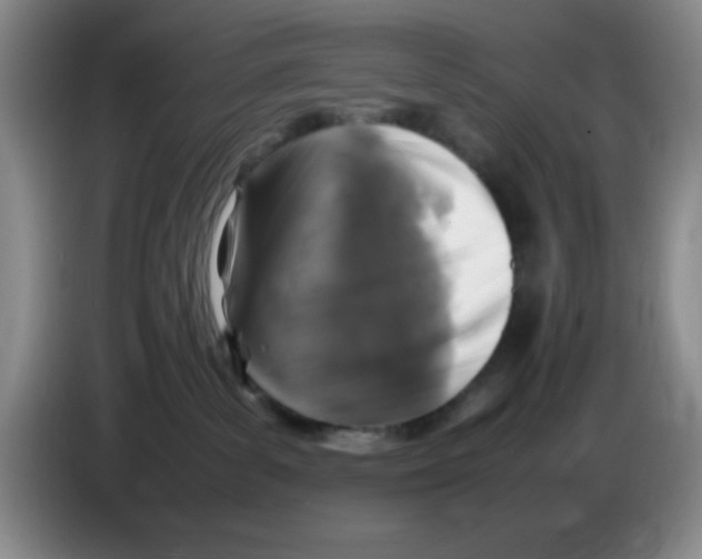 X0000083600139200703091749