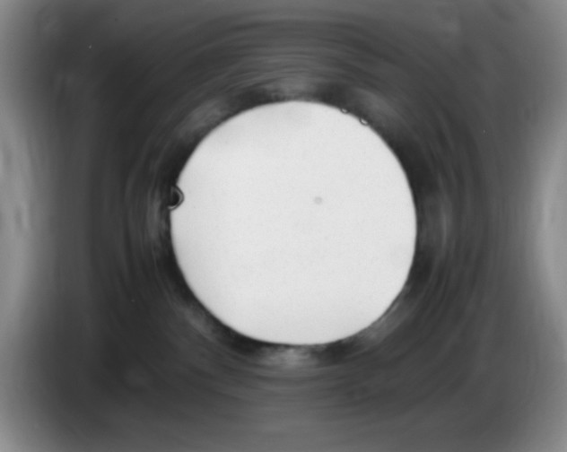 X0000083600140200703091749