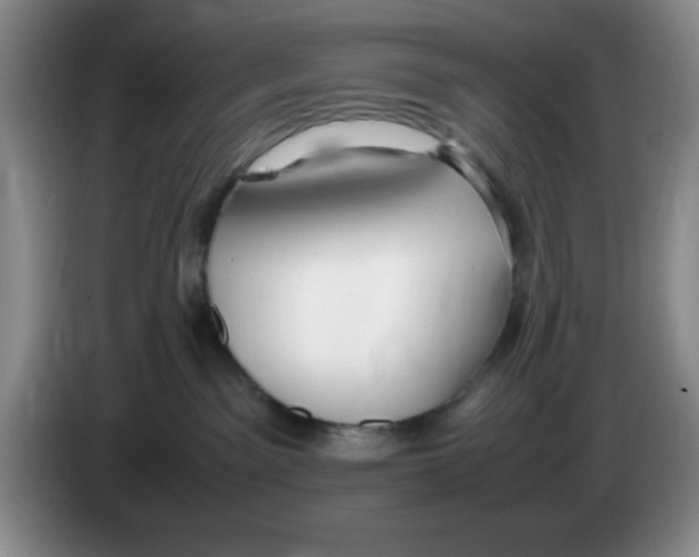 X0000083600141200703091749