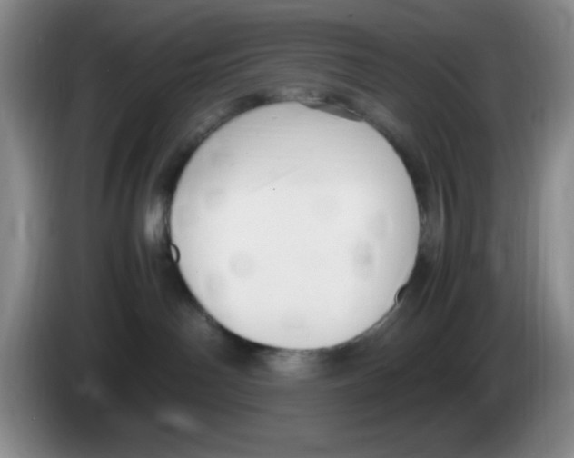 X0000083600142200703091749