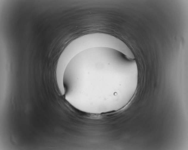 X0000083600144200703091749