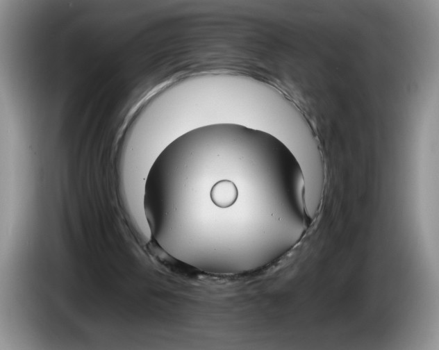 X0000083600146200703091748