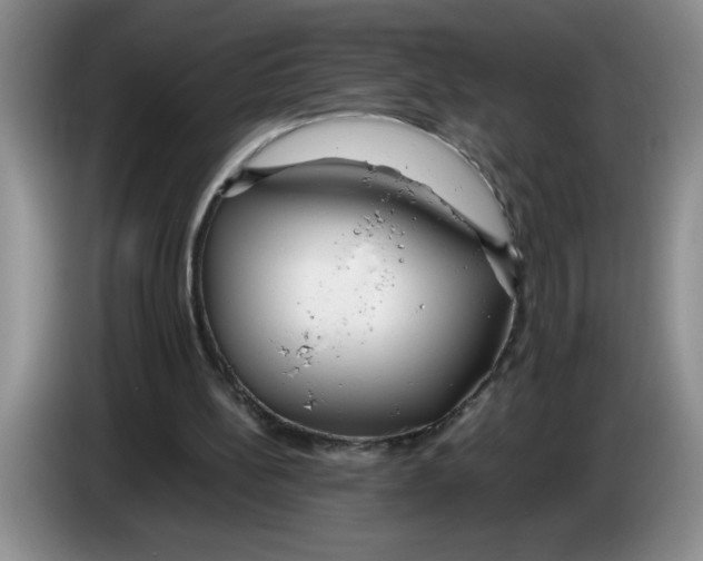 X0000083600148200703091748