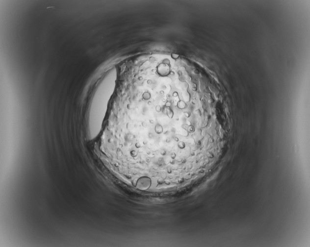 X0000083600149200703091748