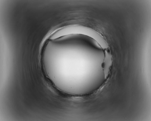 X0000083600150200703091748