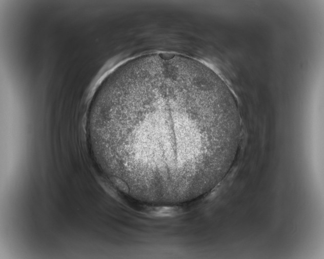 X0000083600151200703091748