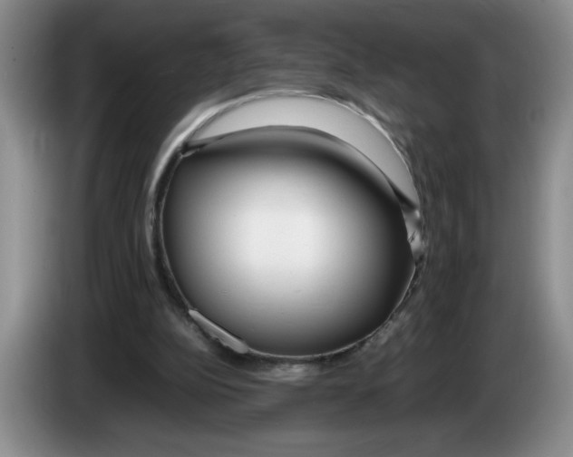 X0000083600152200703091748