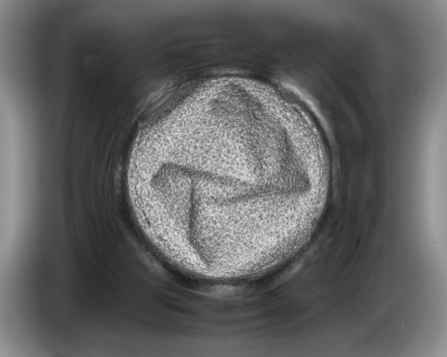 X0000083600153200703091748