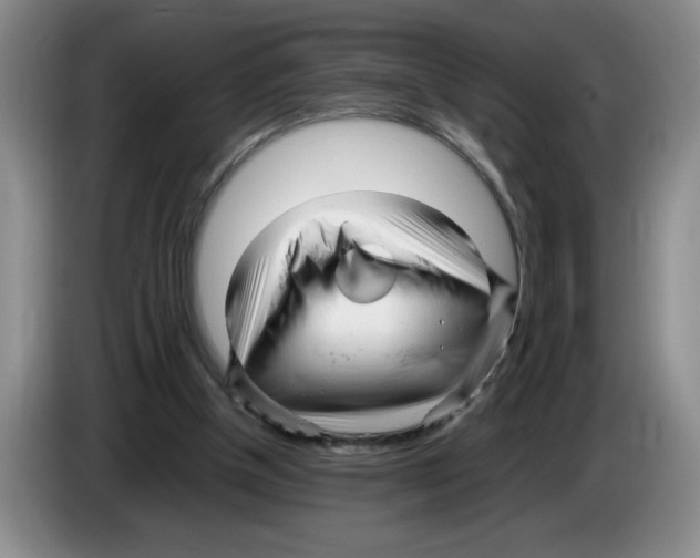 X0000083600154200703091748