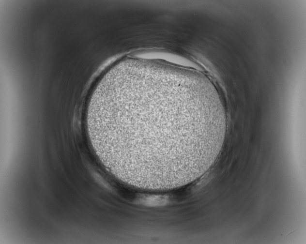 X0000083600155200703091748