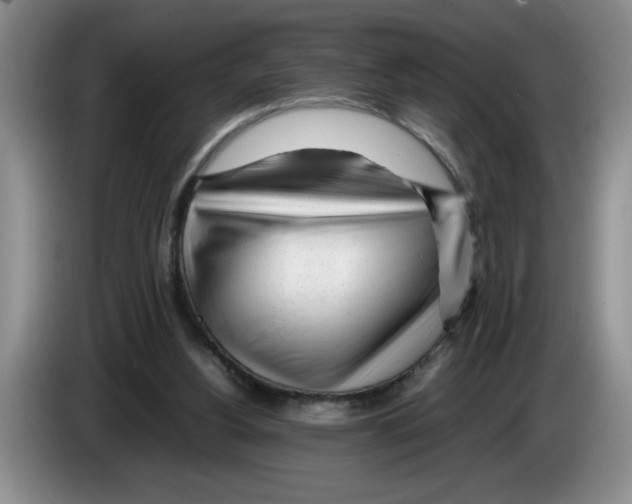 X0000083600156200703091748