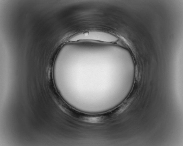 X0000083600157200703091748