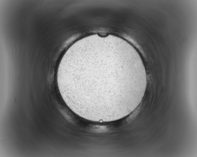 X0000083600159200703091748