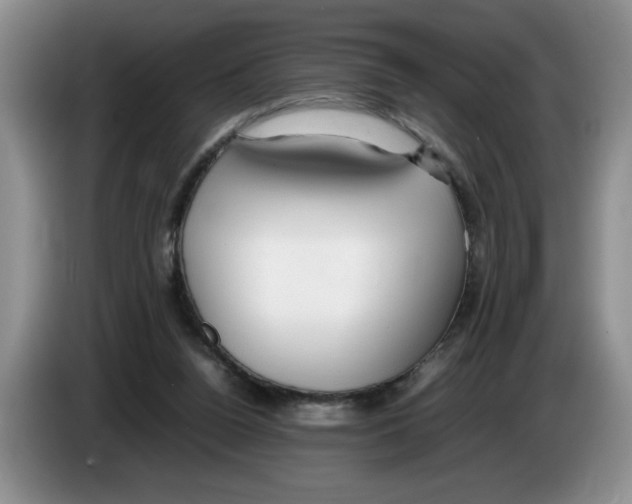 X0000083600160200703091748