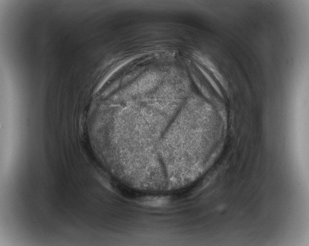 X0000083600161200703091748