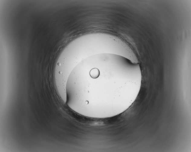 X0000083600162200703091748