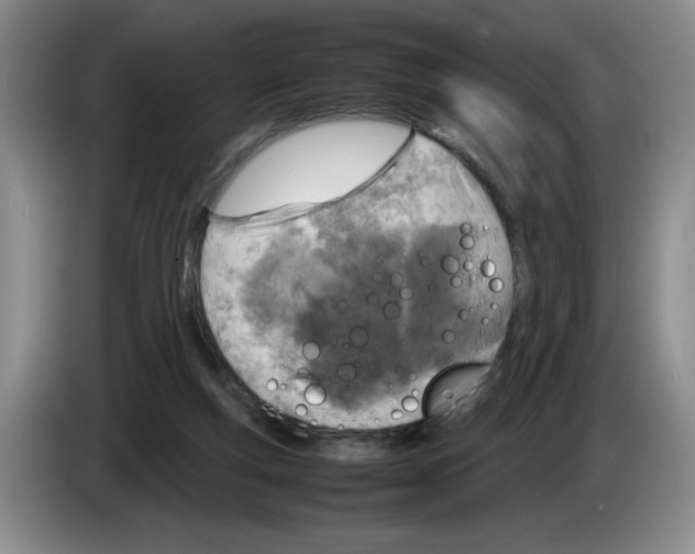 X0000083600163200703091748