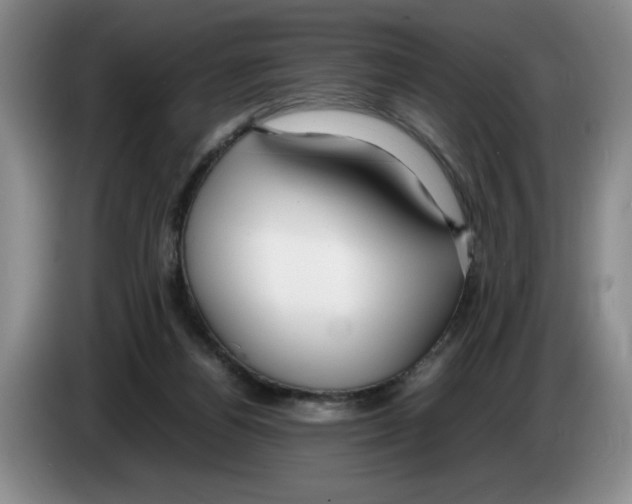 X0000083600164200703091748