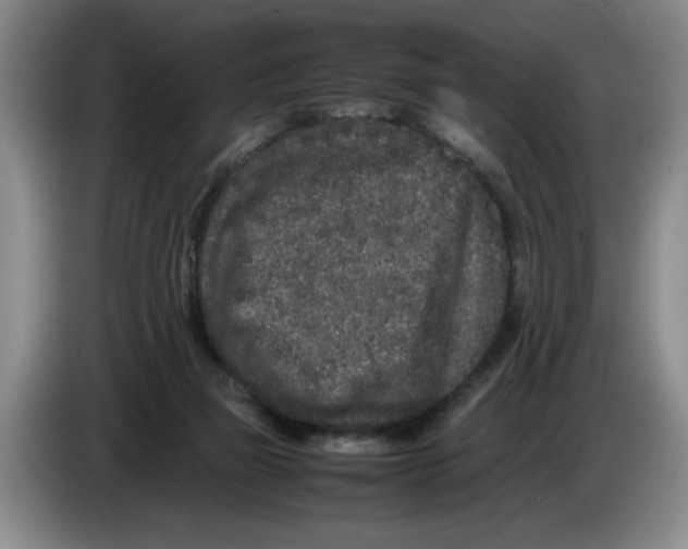 X0000083600165200703091748