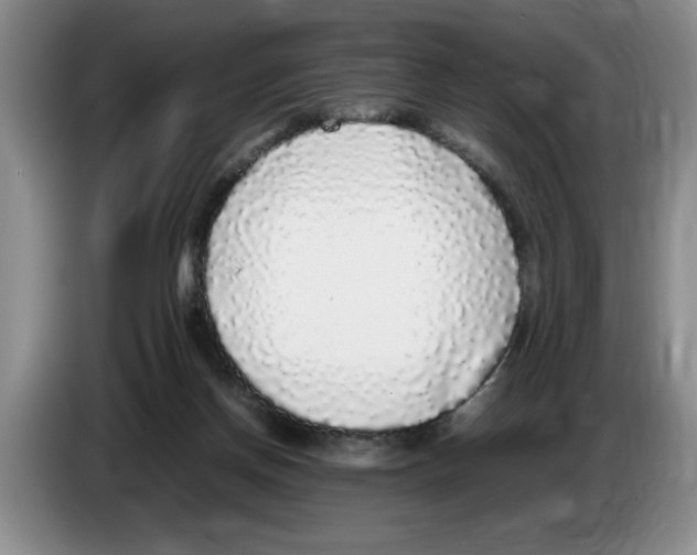 X0000083600166200703091748