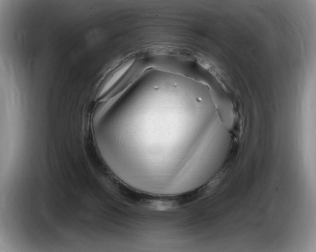 X0000083600168200703091748