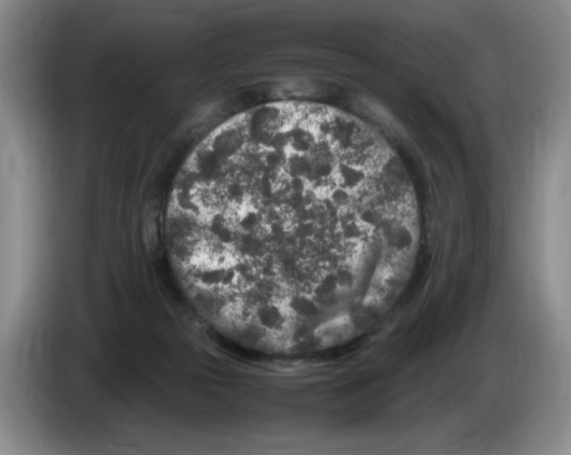 X0000083600169200703091748