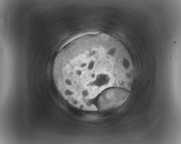 X0000083600171200703091749