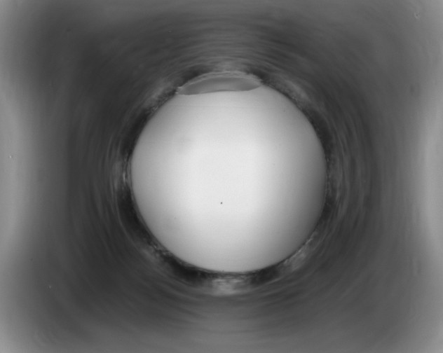 X0000083600172200703091749