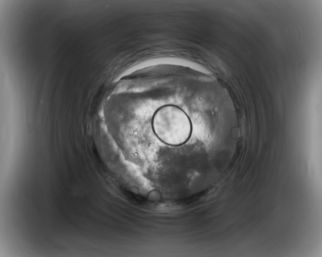 X0000083600173200703091749