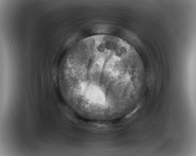 X0000083600175200703091749