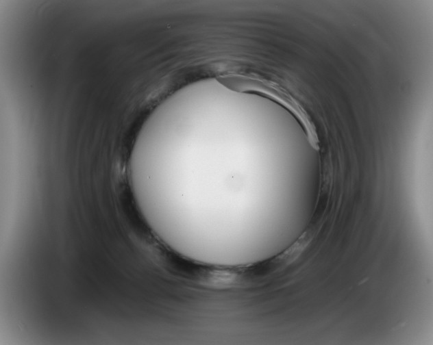 X0000083600176200703091749