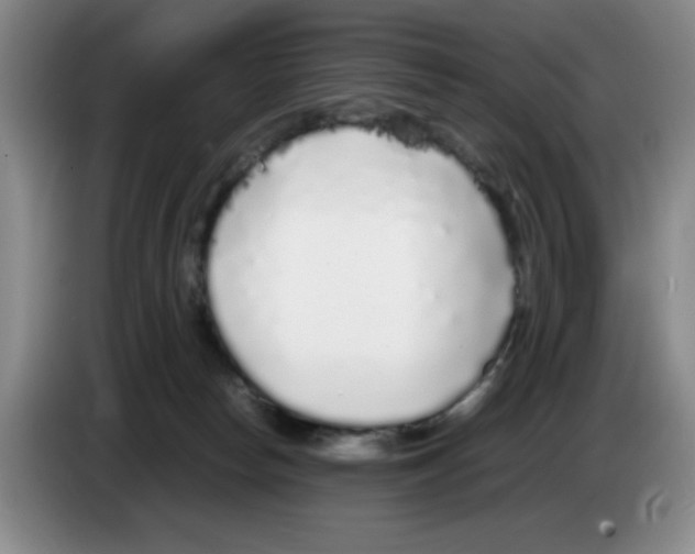 X0000083600178200703091749