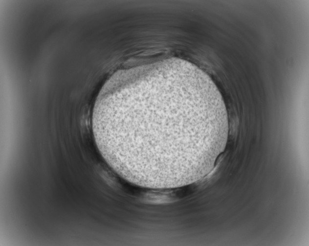 X0000083600179200703091749