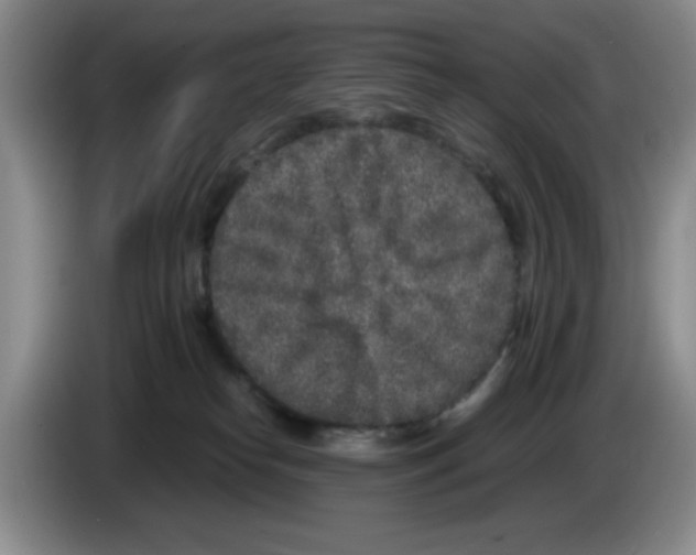 X0000083600182200703091749