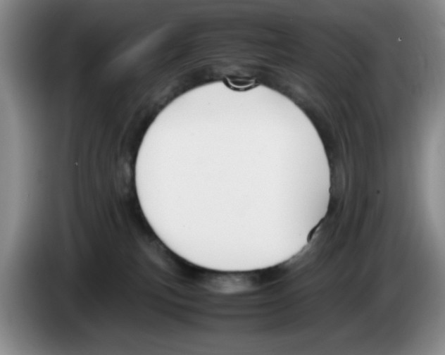 X0000083600183200703091749