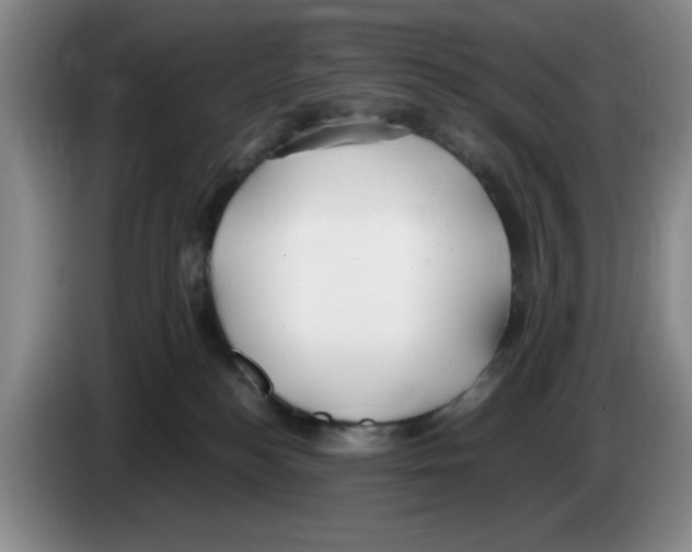 X0000083600184200703091749