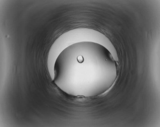 X0000083600190200703091749