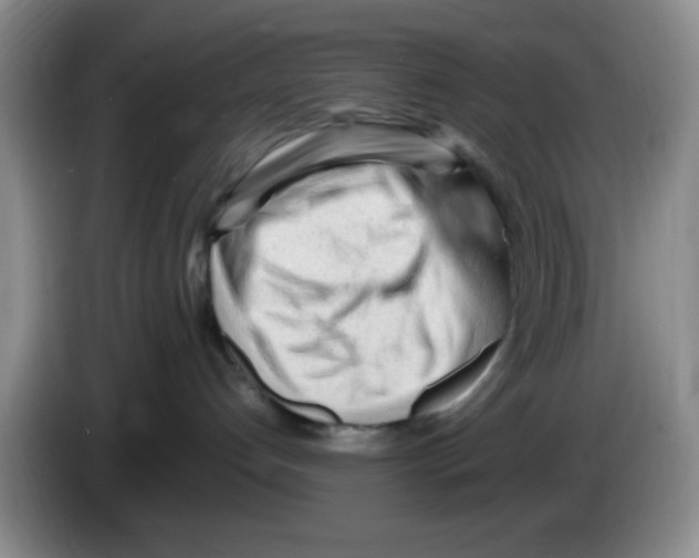 X0000083600192200703091749