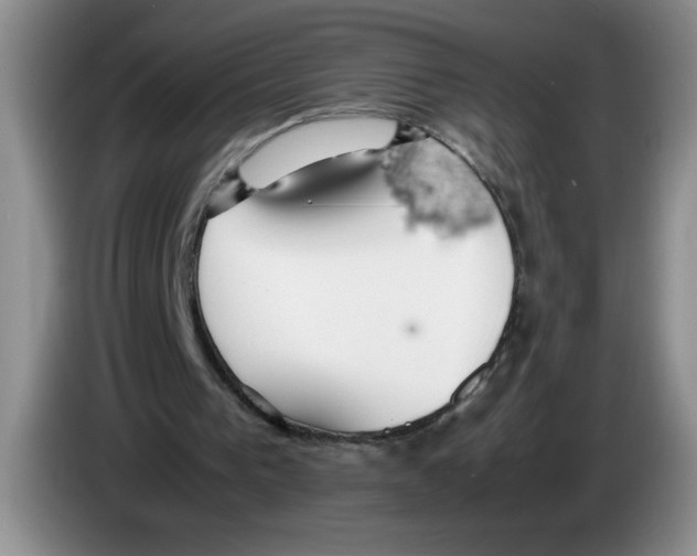 X0000083600193200703091748