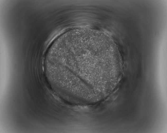 X0000083600194200703091748