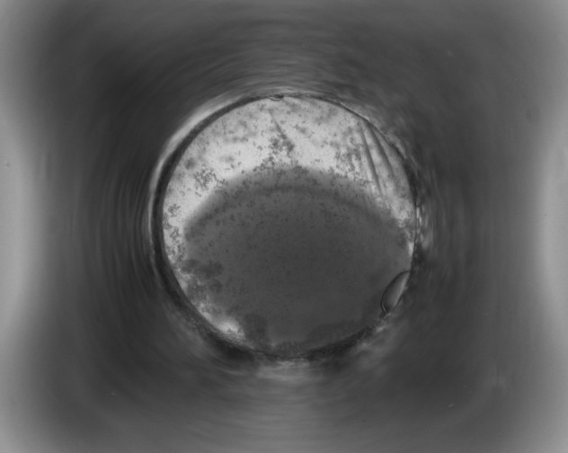 X0000083600196200703091748